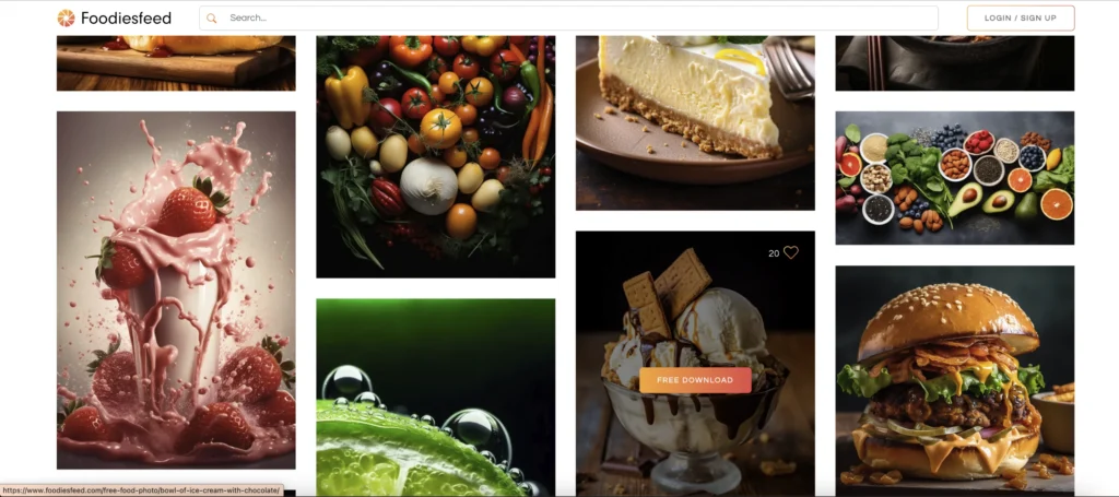 Foodiesfeed