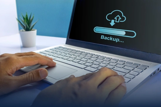 WordPress Back up